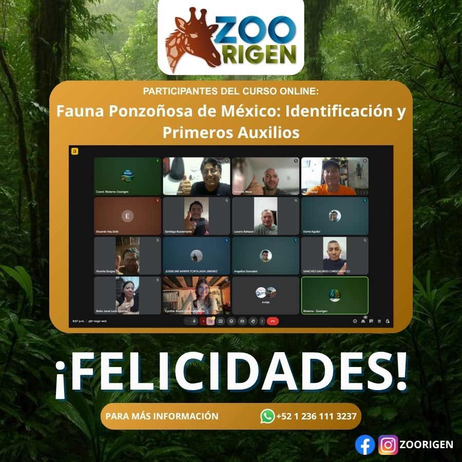 Alumno de Zoorigen