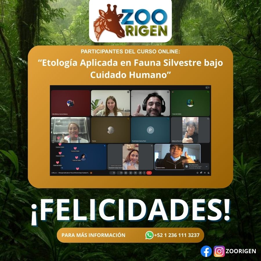 Alumno de Zoorigen