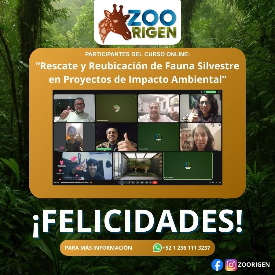 Alumno de Zoorigen