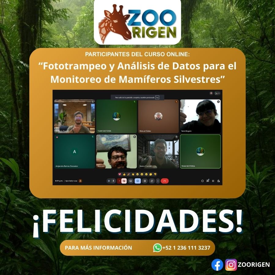Alumno de Zoorigen