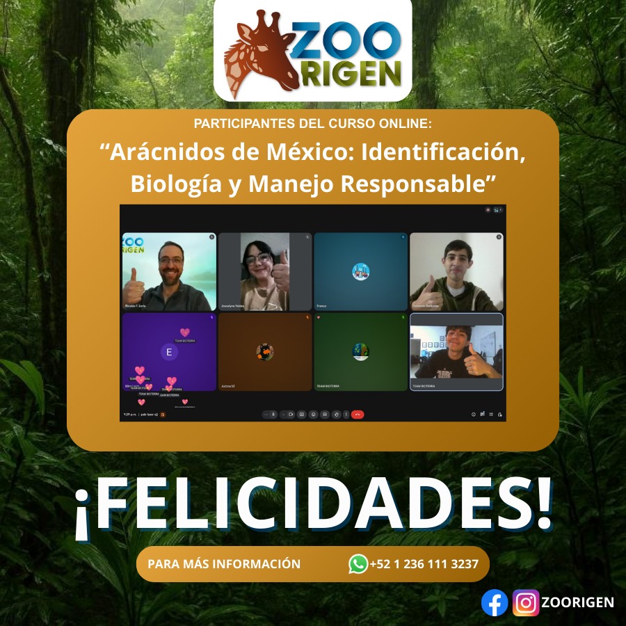Alumno Zoorigen