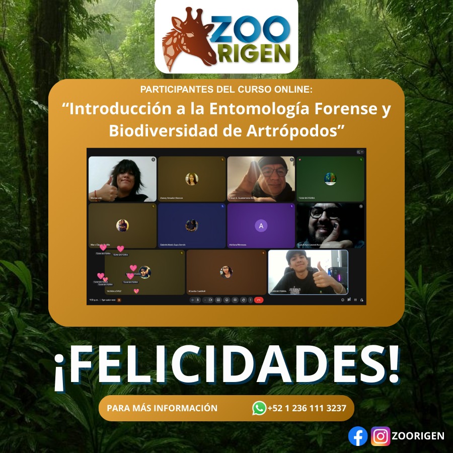 Alumno de Zoorigen