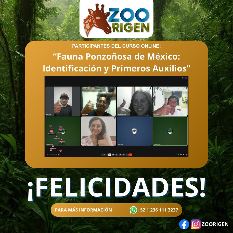 Alumno de Zoorigen
