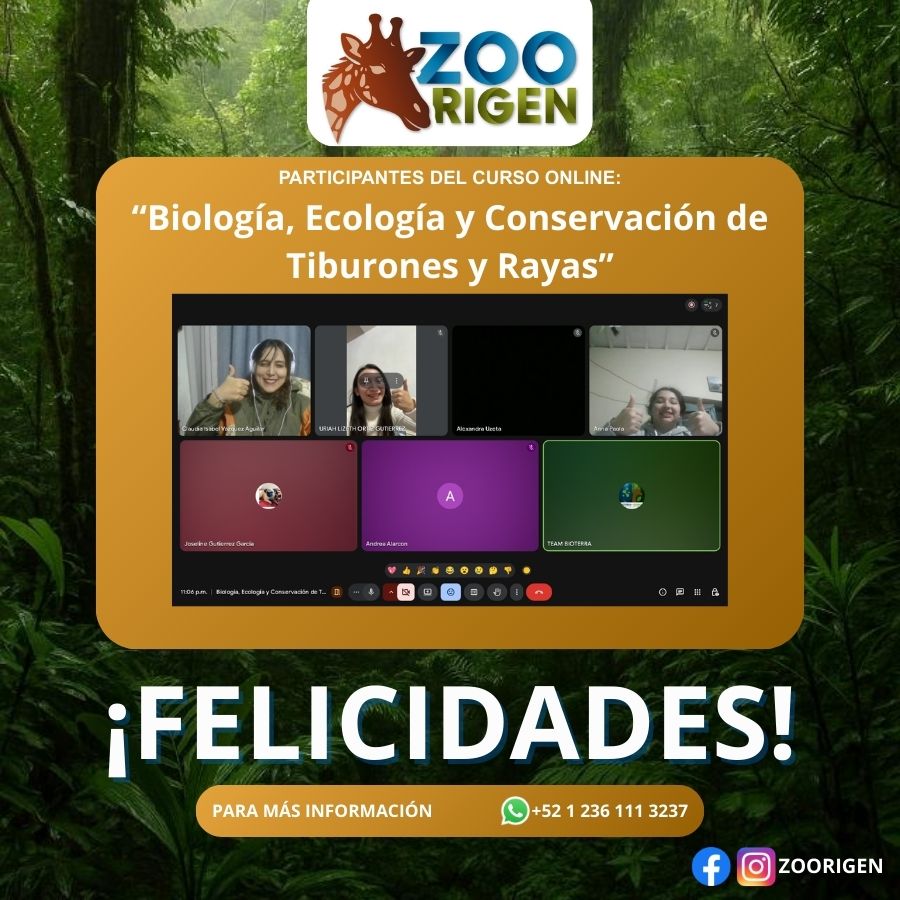Alumno de Zoorigen